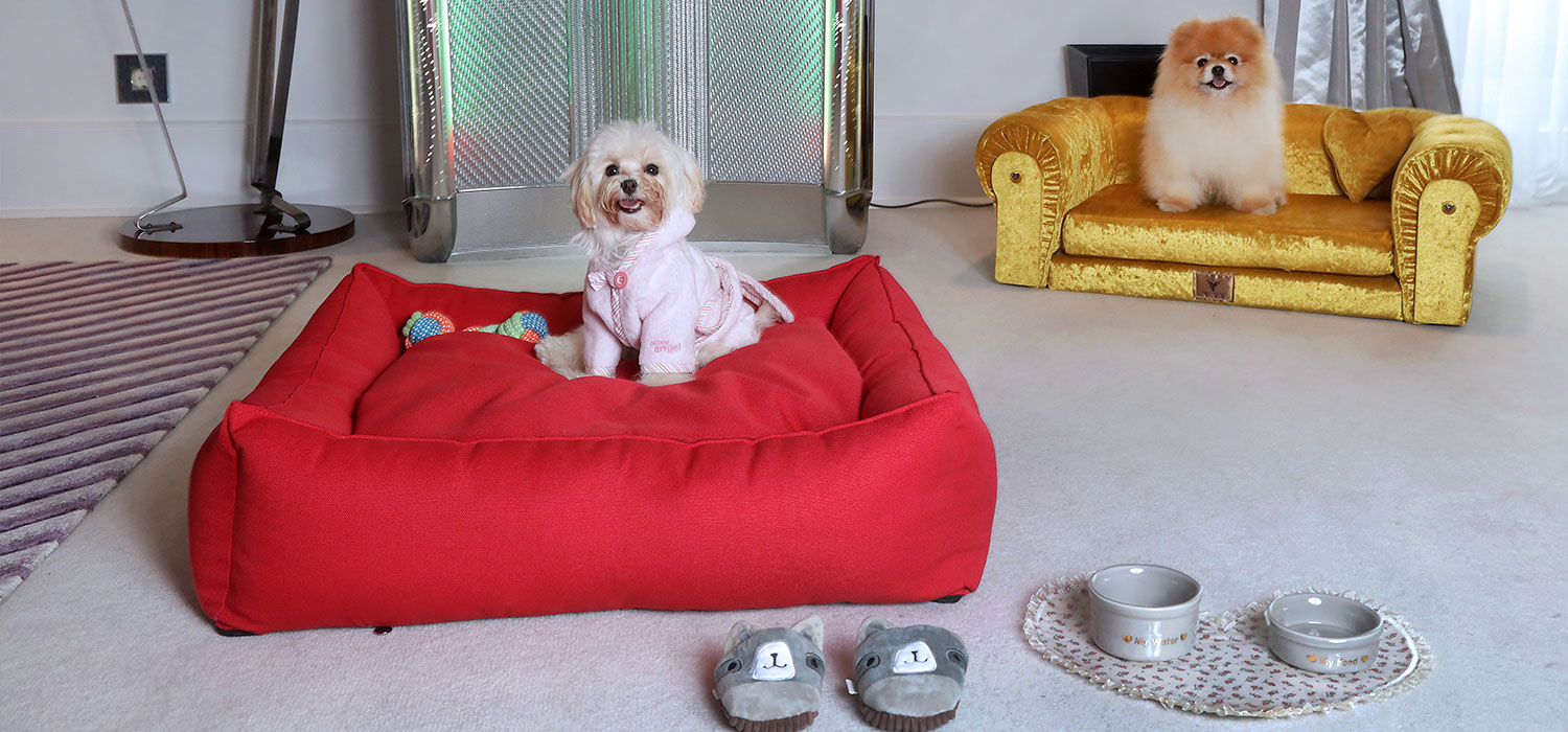 Travel Story El Palace Barcelona pet friendly