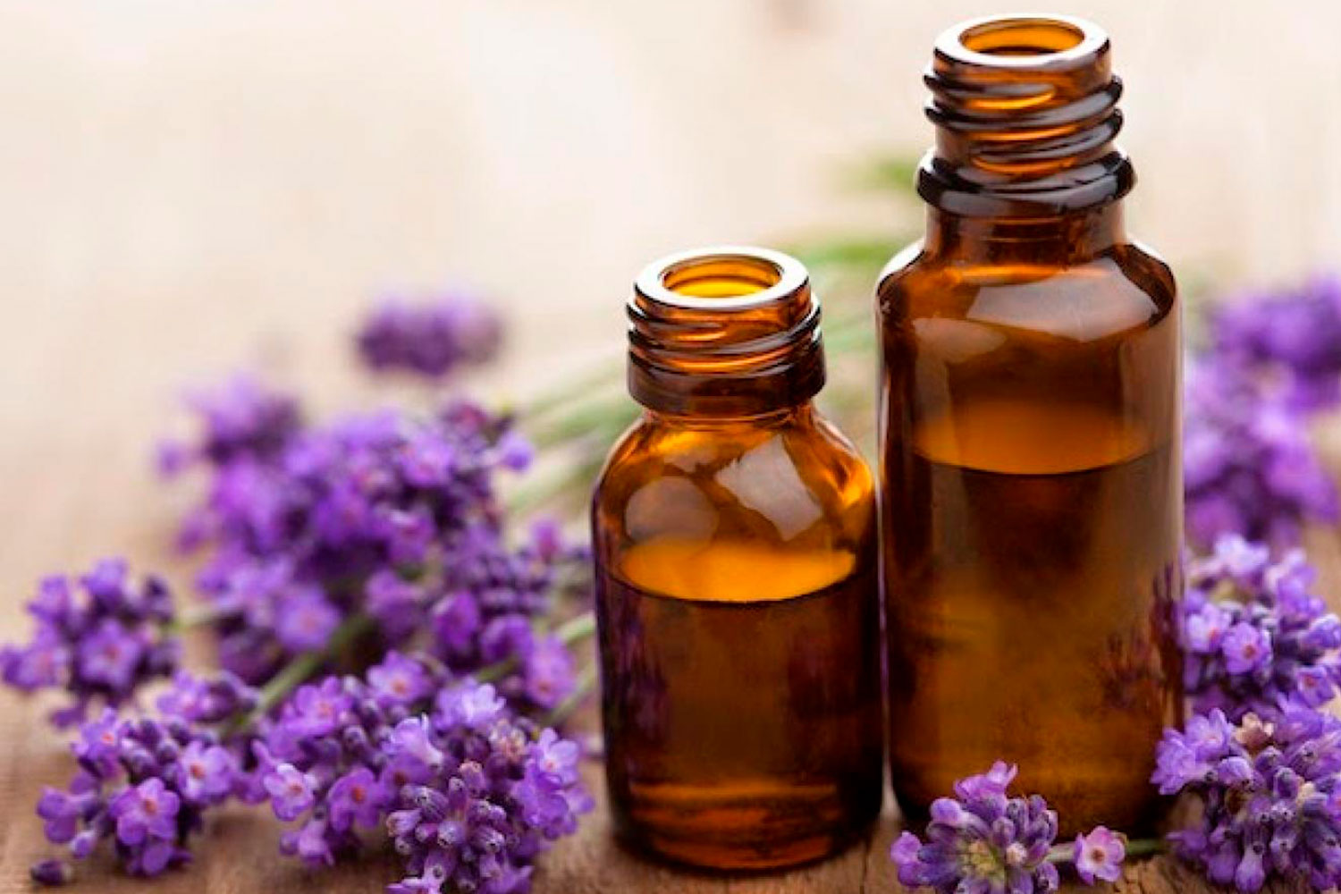 BRU-BRU-La-Caminera-Ruta-Gastronomica