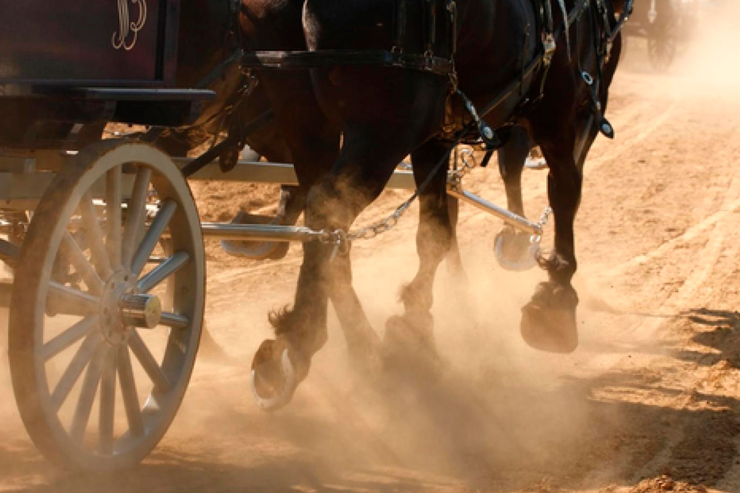 BRU-BRU-La-Caminera-Ruta-gastronomica