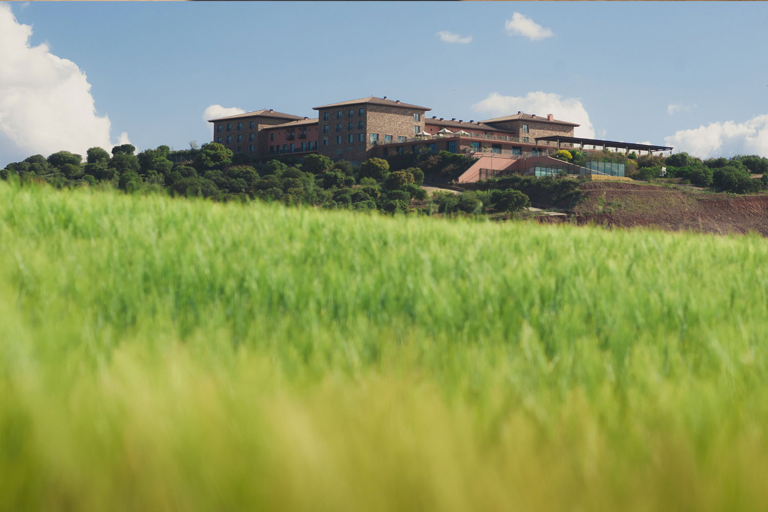 La Caminera: la esencia de La Mancha