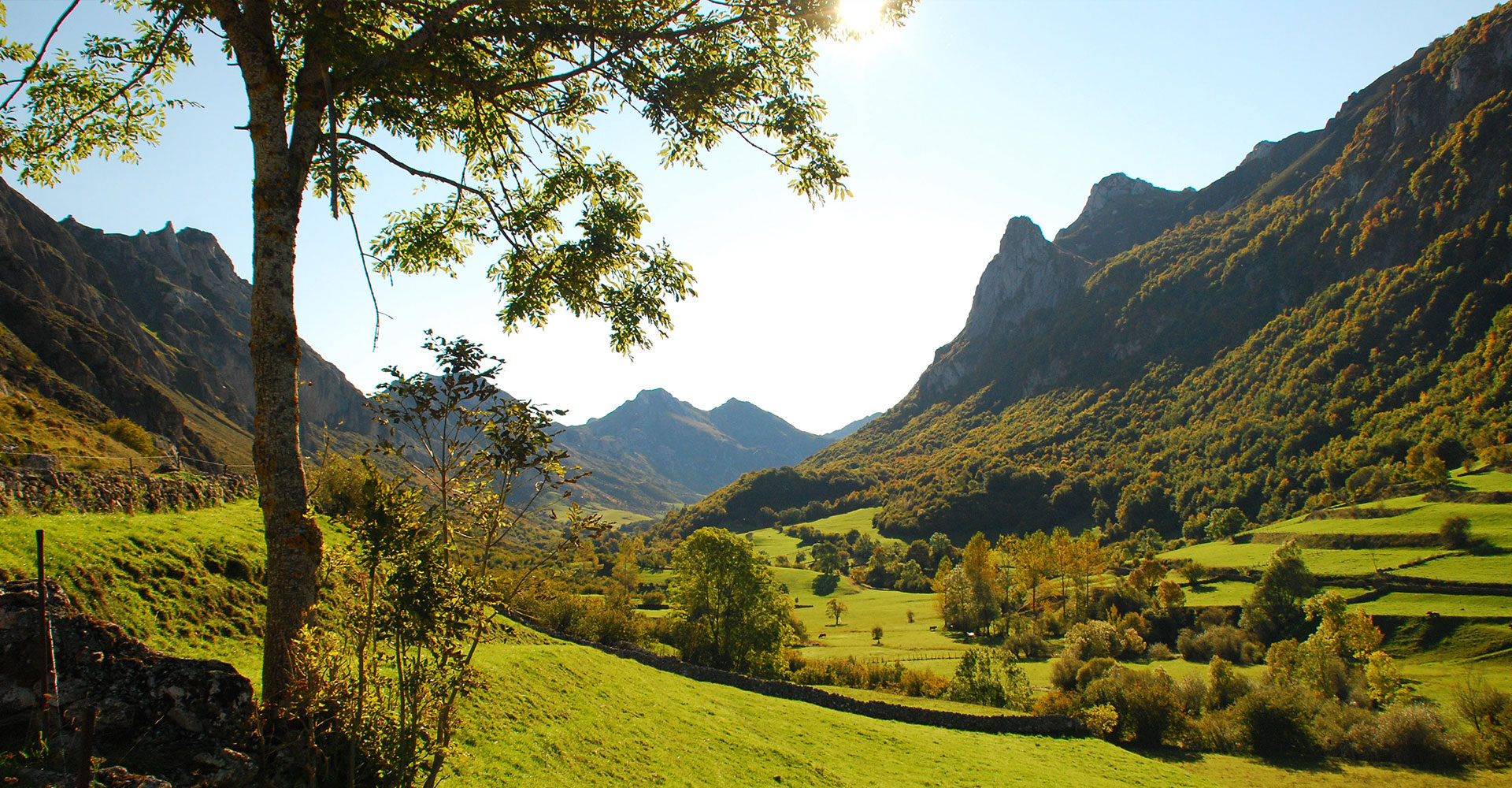 La ruta del Norte - Camino de Santiago
