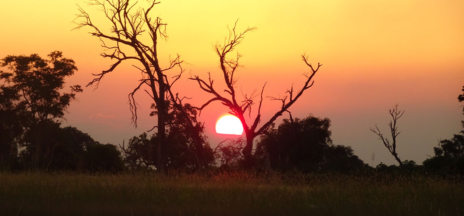 16-BRU-BRU-Travel-Story-A-Belmond-Safaris-by-Esther-Moreno