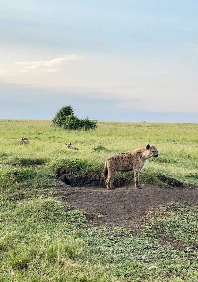 Kenya: A family adventure in Africa