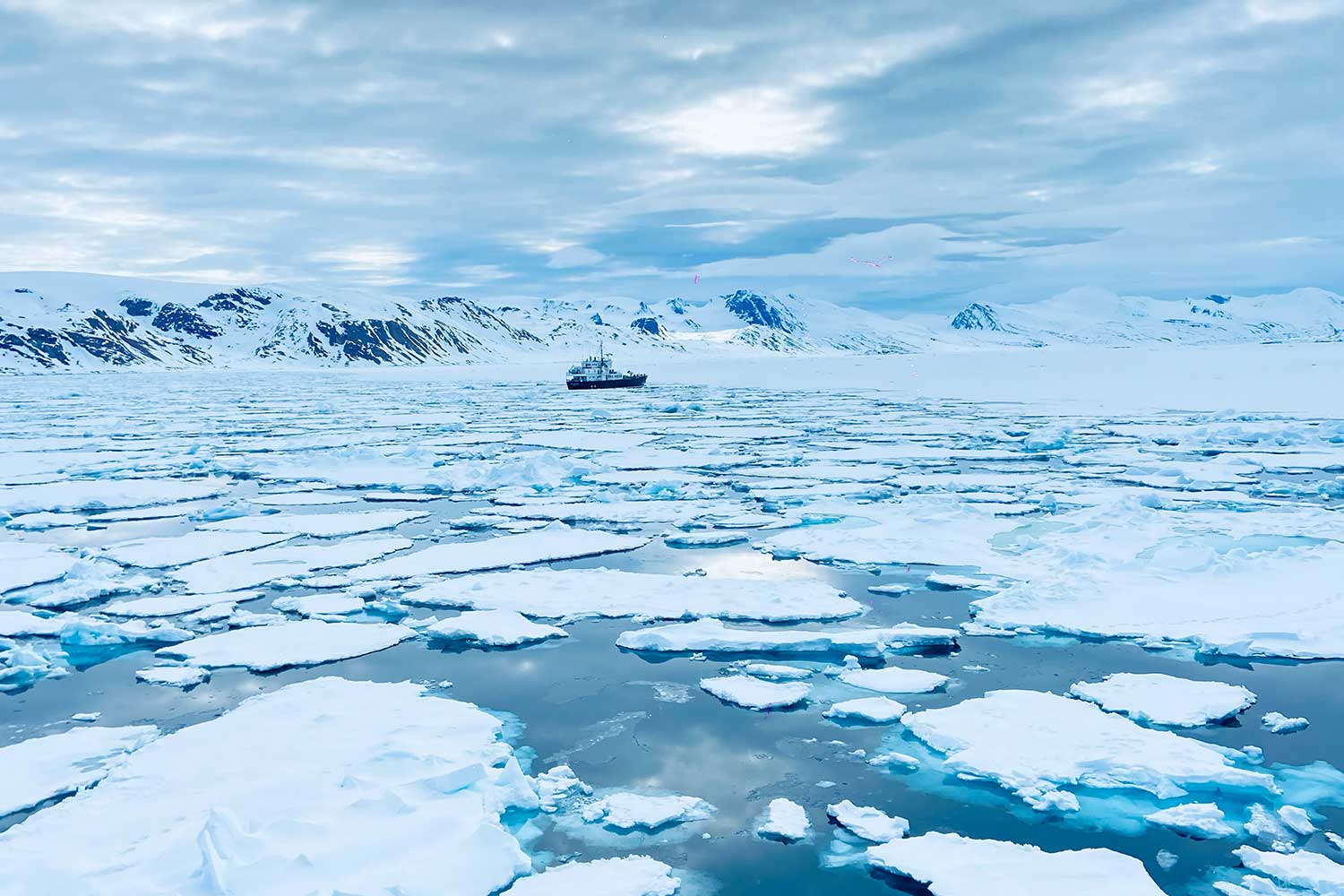 Explorando Svalbard y la vida salvaje en el Ártico
