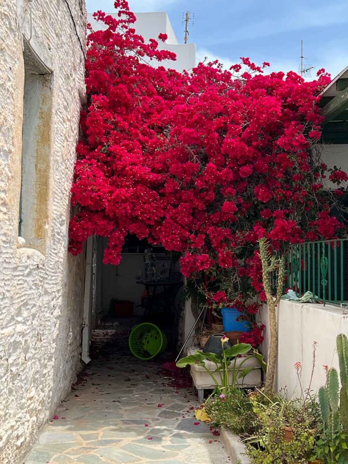 Greece: The call of Cyclades