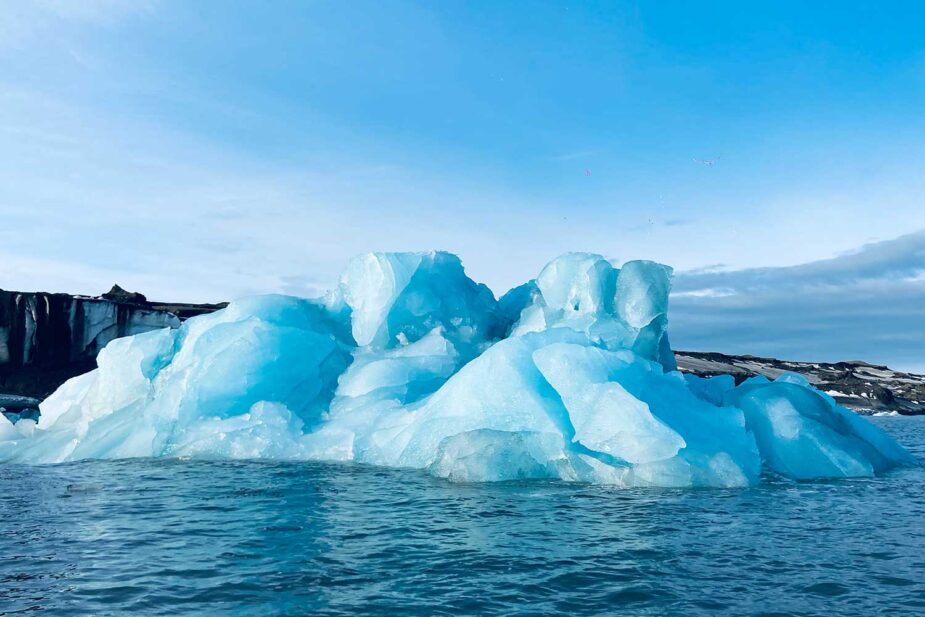 Explorando Svalbard y la vida salvaje en el Ártico