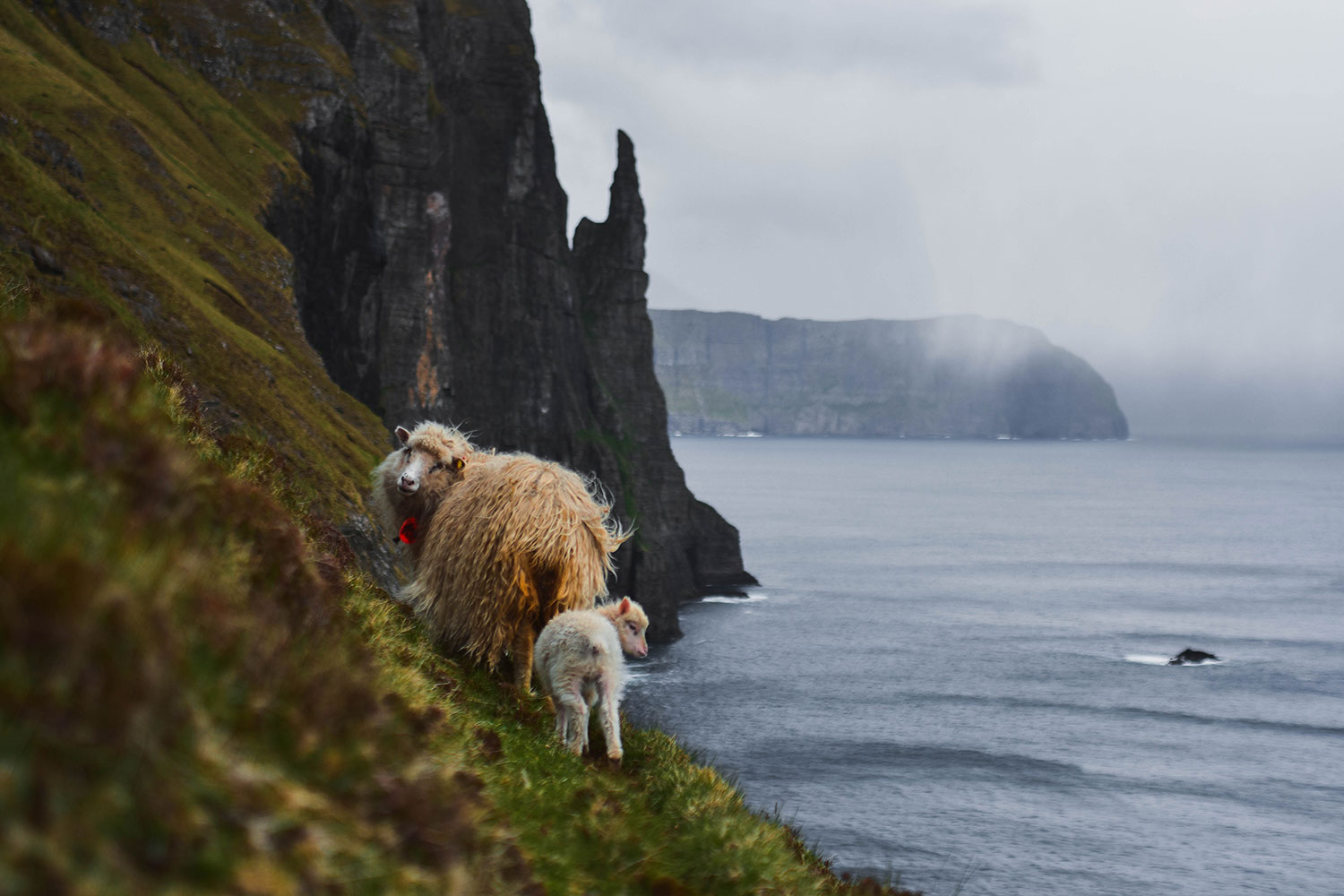 Exploring Faroe Islands