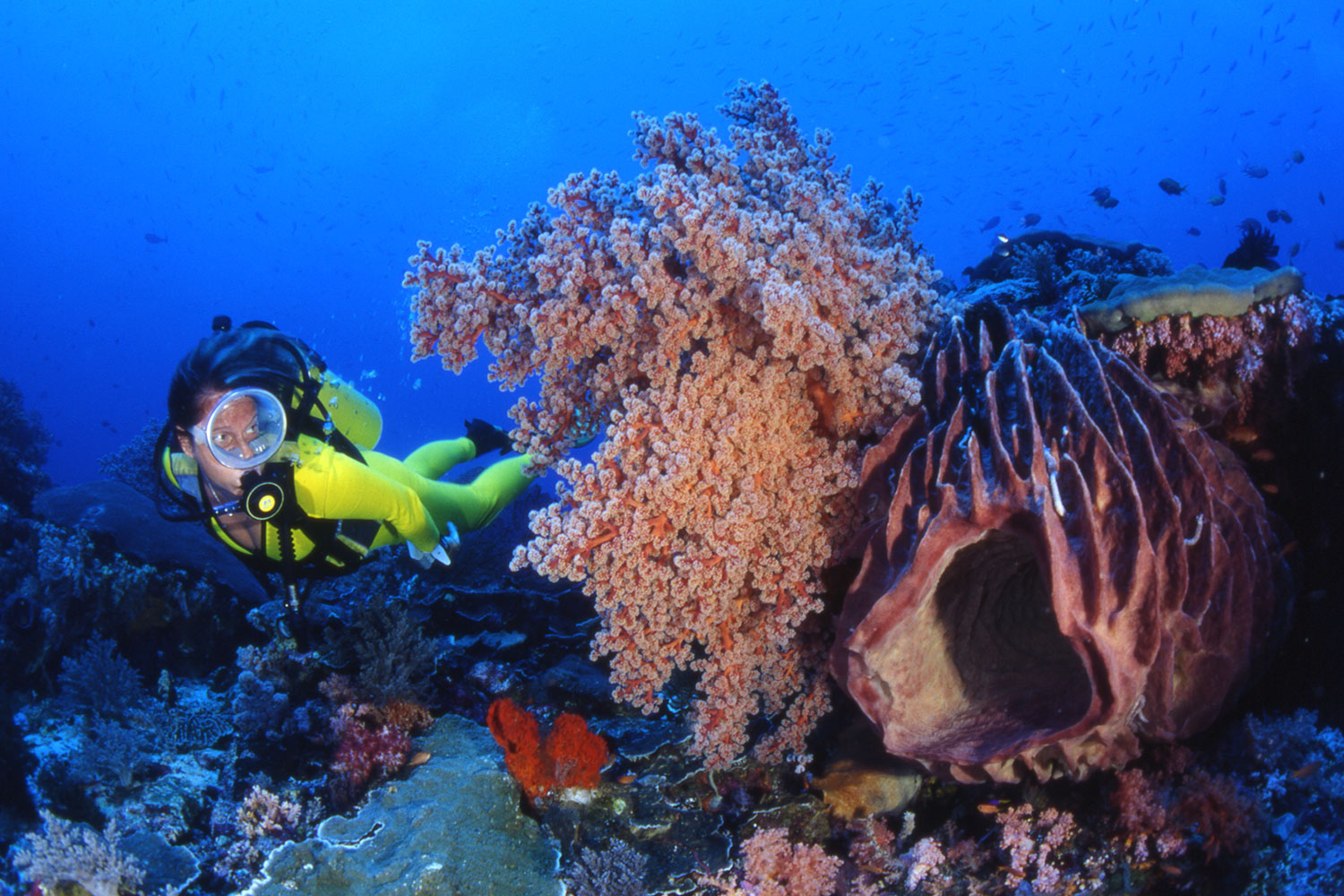 3-BRU-BRU-Viajes-luna-de-miel-a-Polinesia