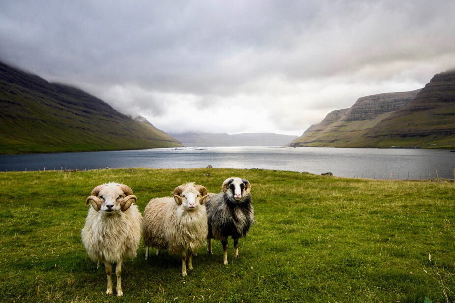 Faroe Islands: Postcards from the north