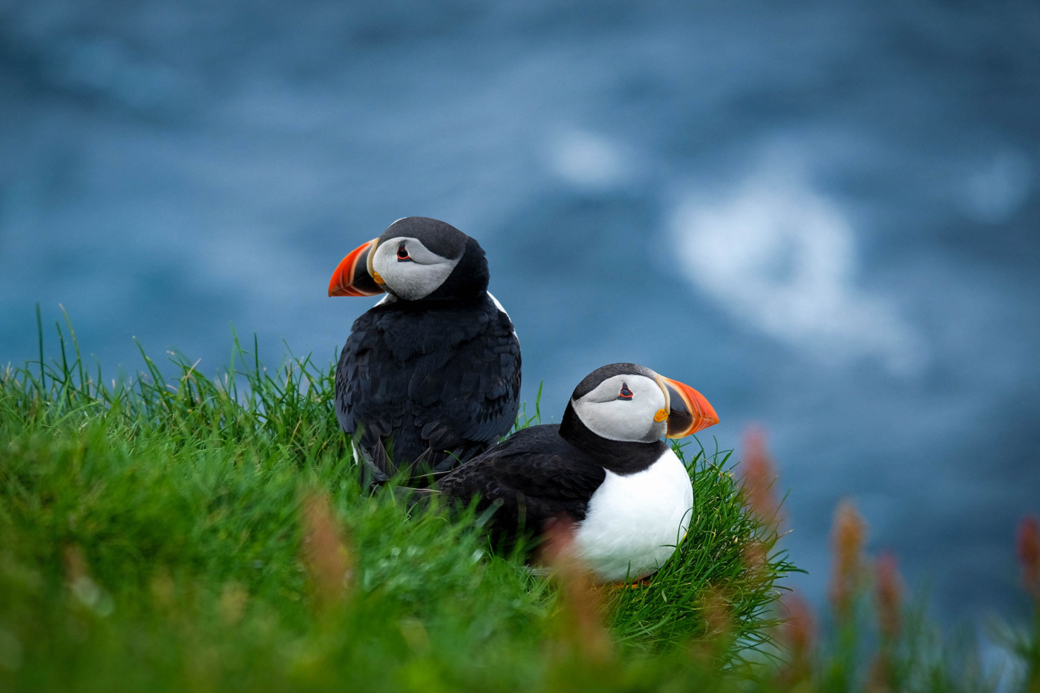 Exploring Faroe Islands