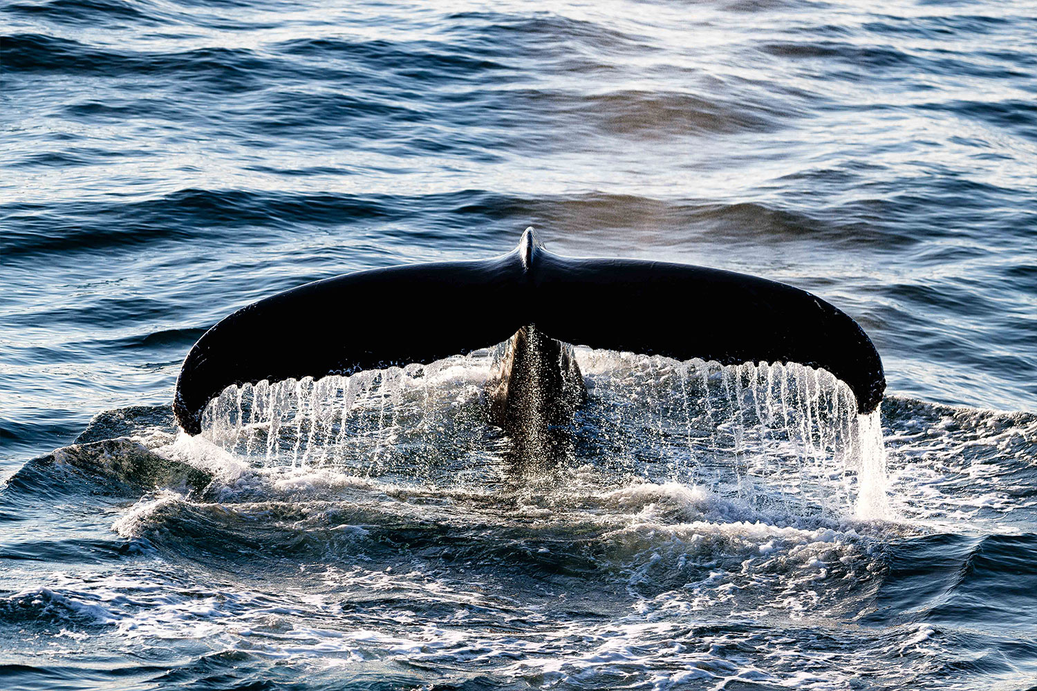 Canada's Remote Arctic, Northwest passage
