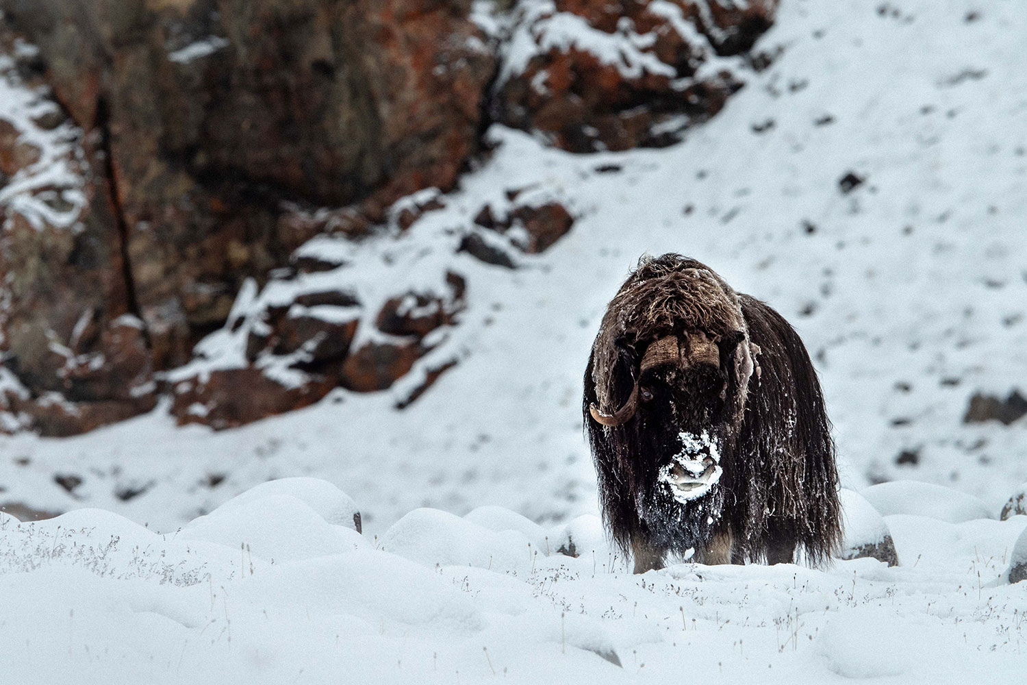Canada's Remote Arctic, Northwest passage