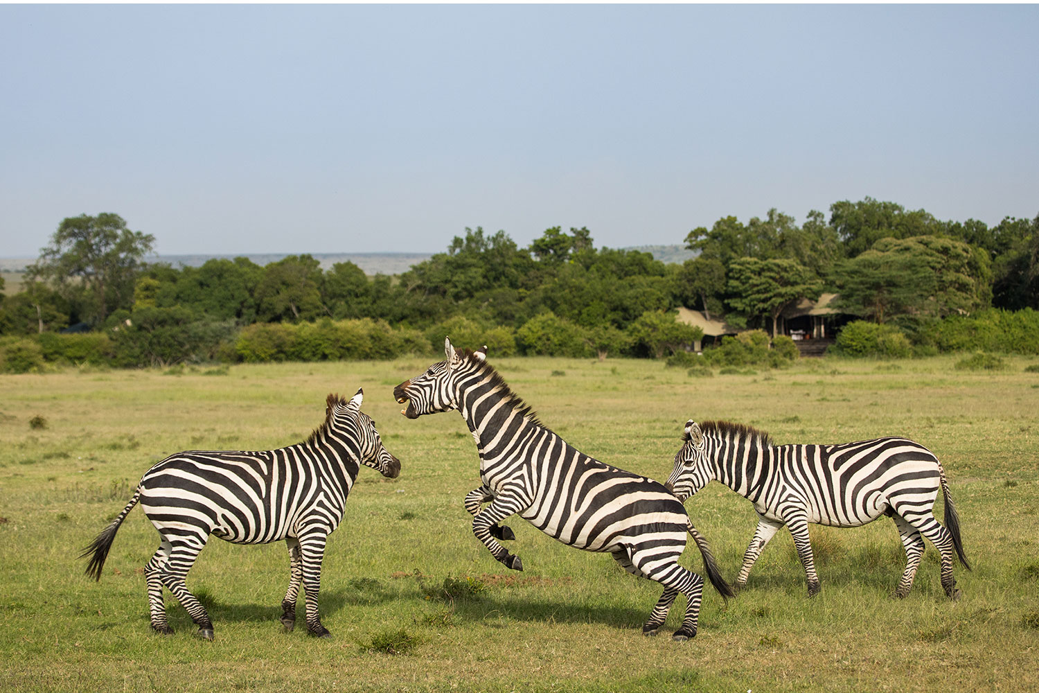 BRU BRU Safari Kenya-en-familia
