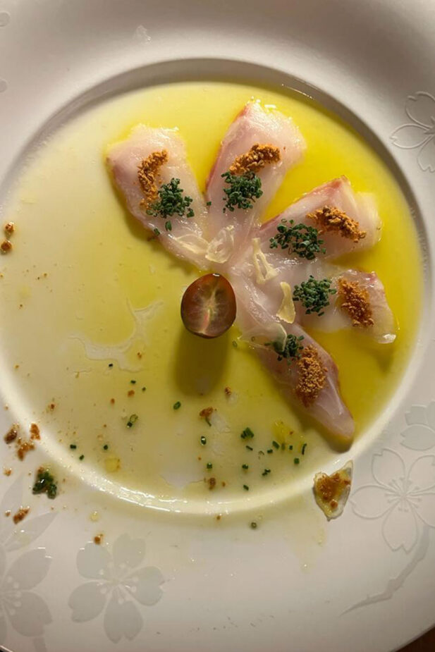 Mocca's first time in Ibiza!