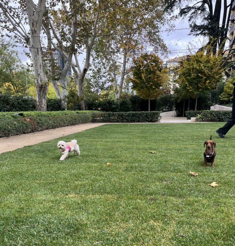 Reunion with my best friend Lulu