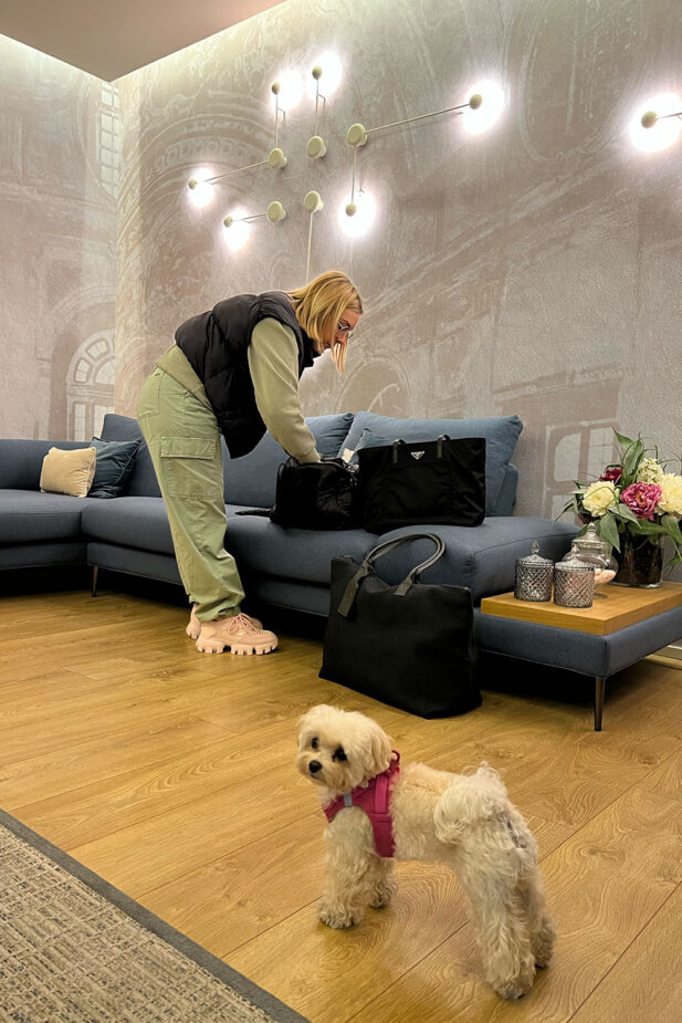 Mocca's first time in Ibiza!