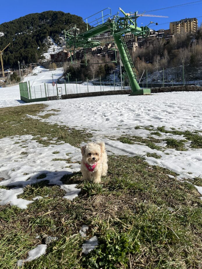 ¡Primera nevada del año!