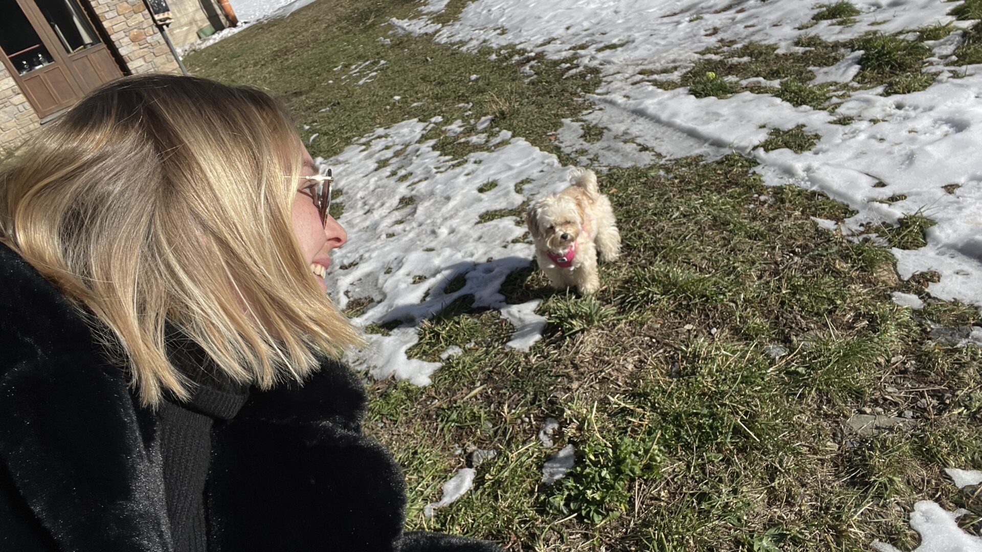 First snowfall of the year!