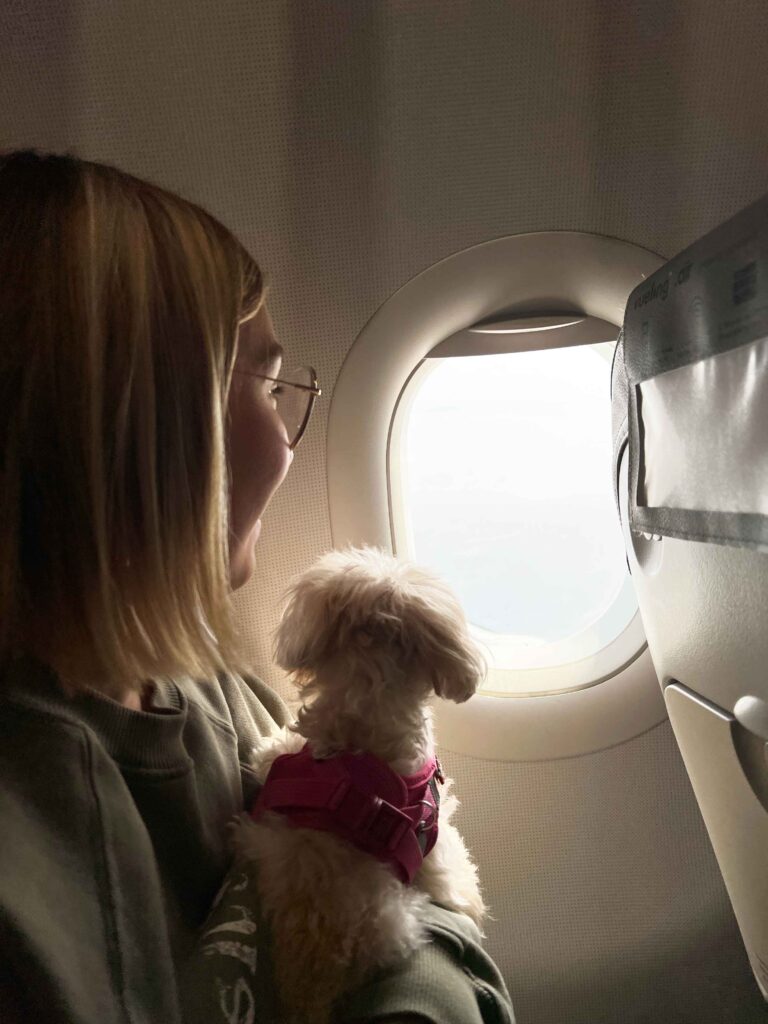 Mocca's first time in Ibiza!