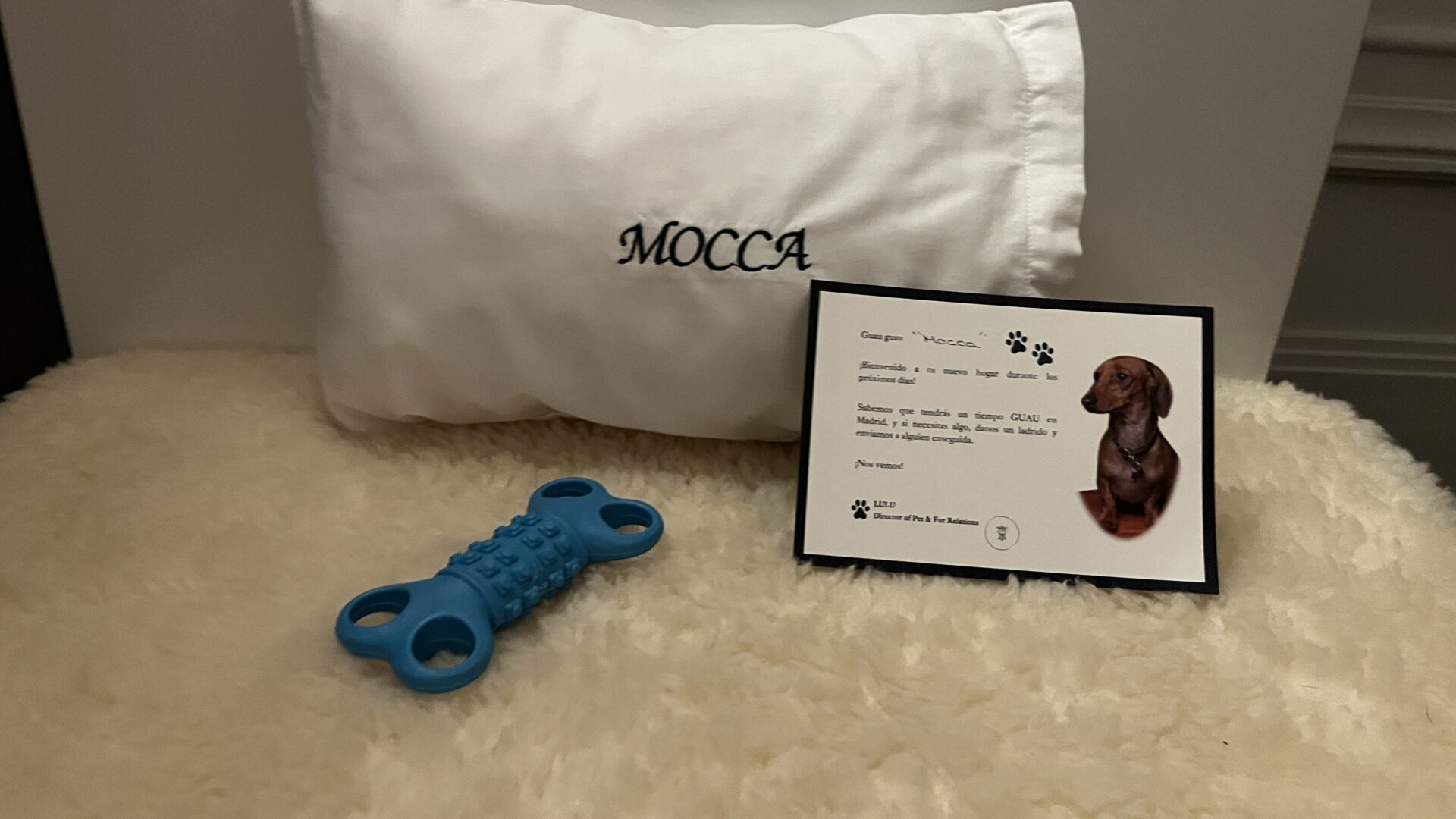 Reunion with my best friend Lulu