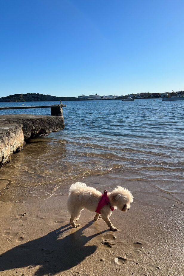 Mocca's first time in Ibiza!