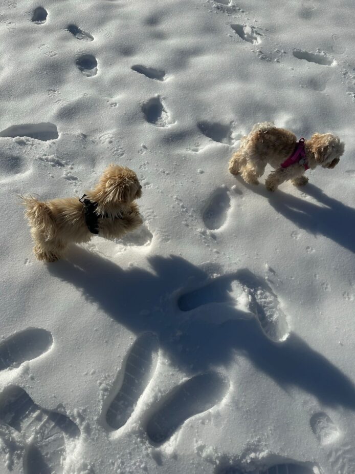 ¡Primera nevada del año!