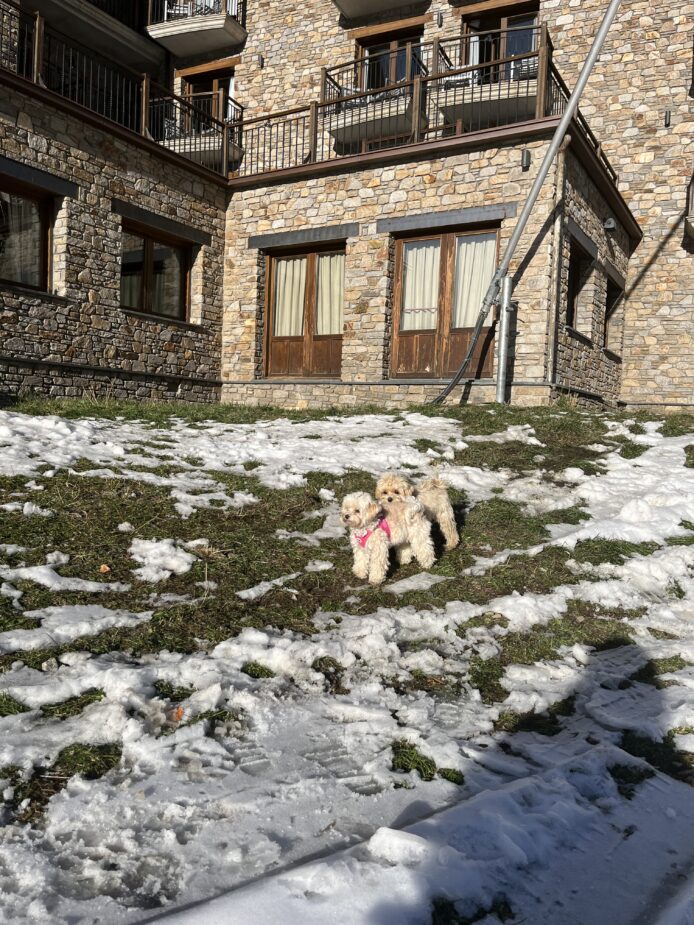 ¡Primera nevada del año!