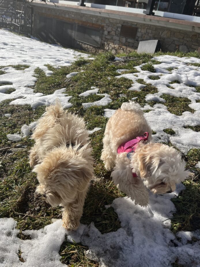 ¡Primera nevada del año!