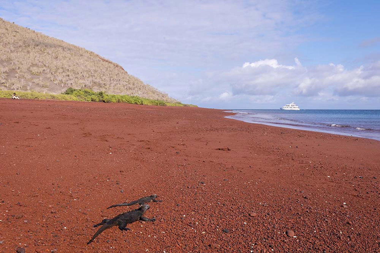 Galapagos expedition