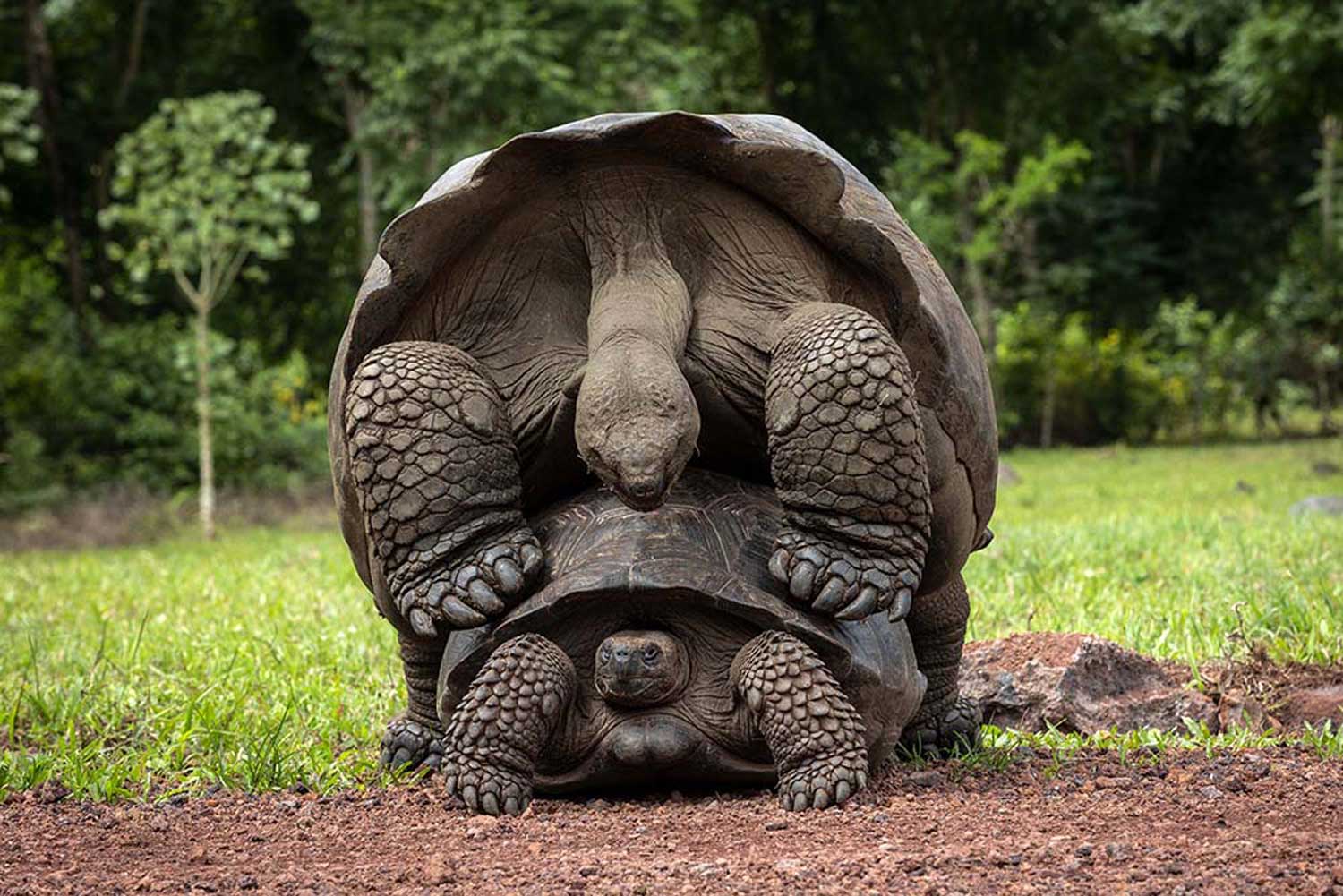 Galapagos expedition