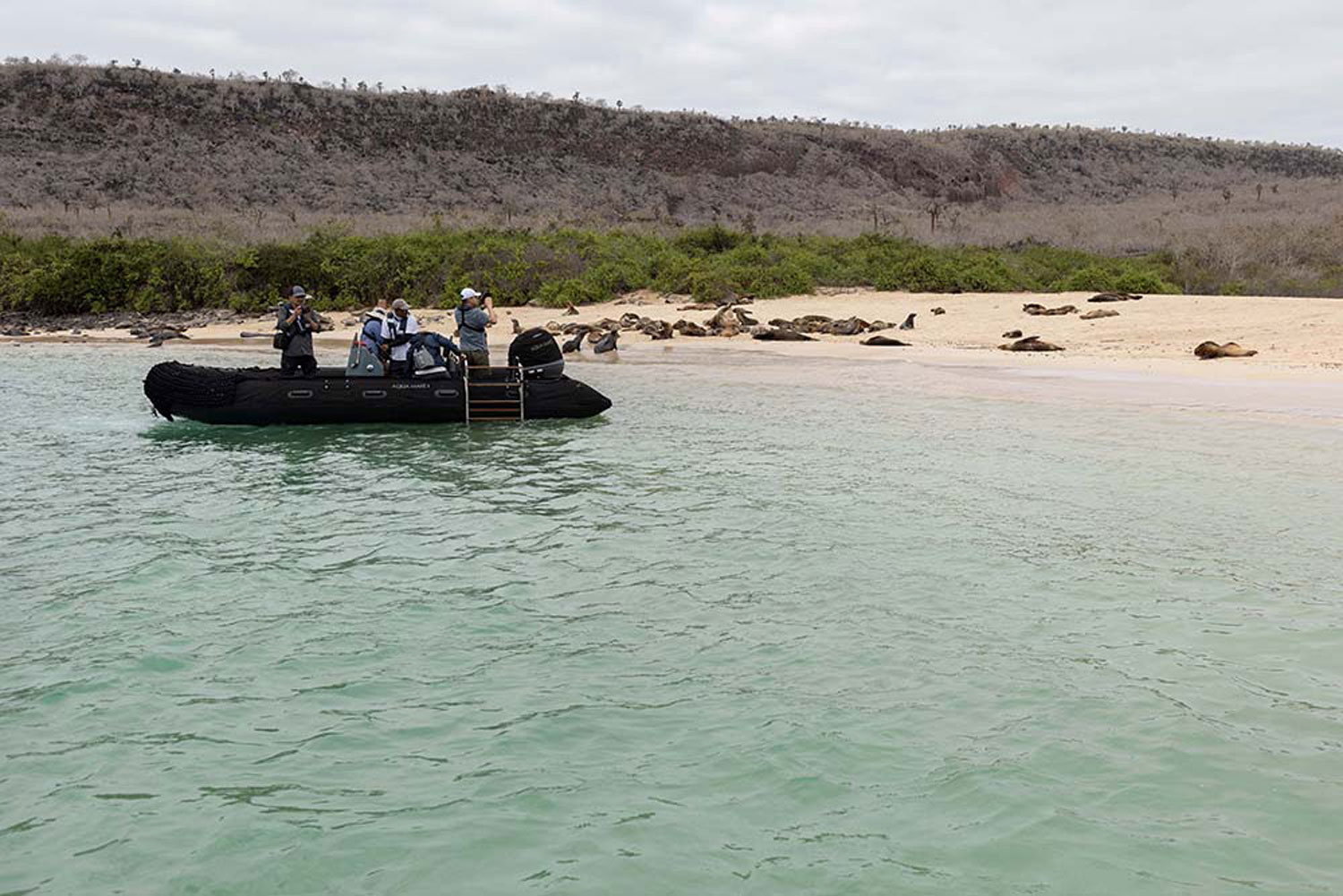 Galapagos expedition