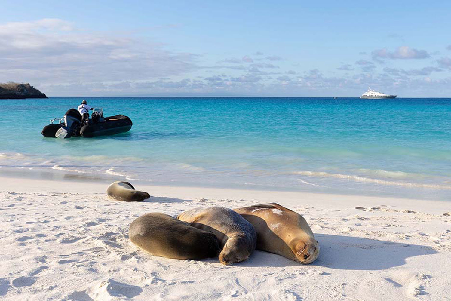 Galapagos expedition