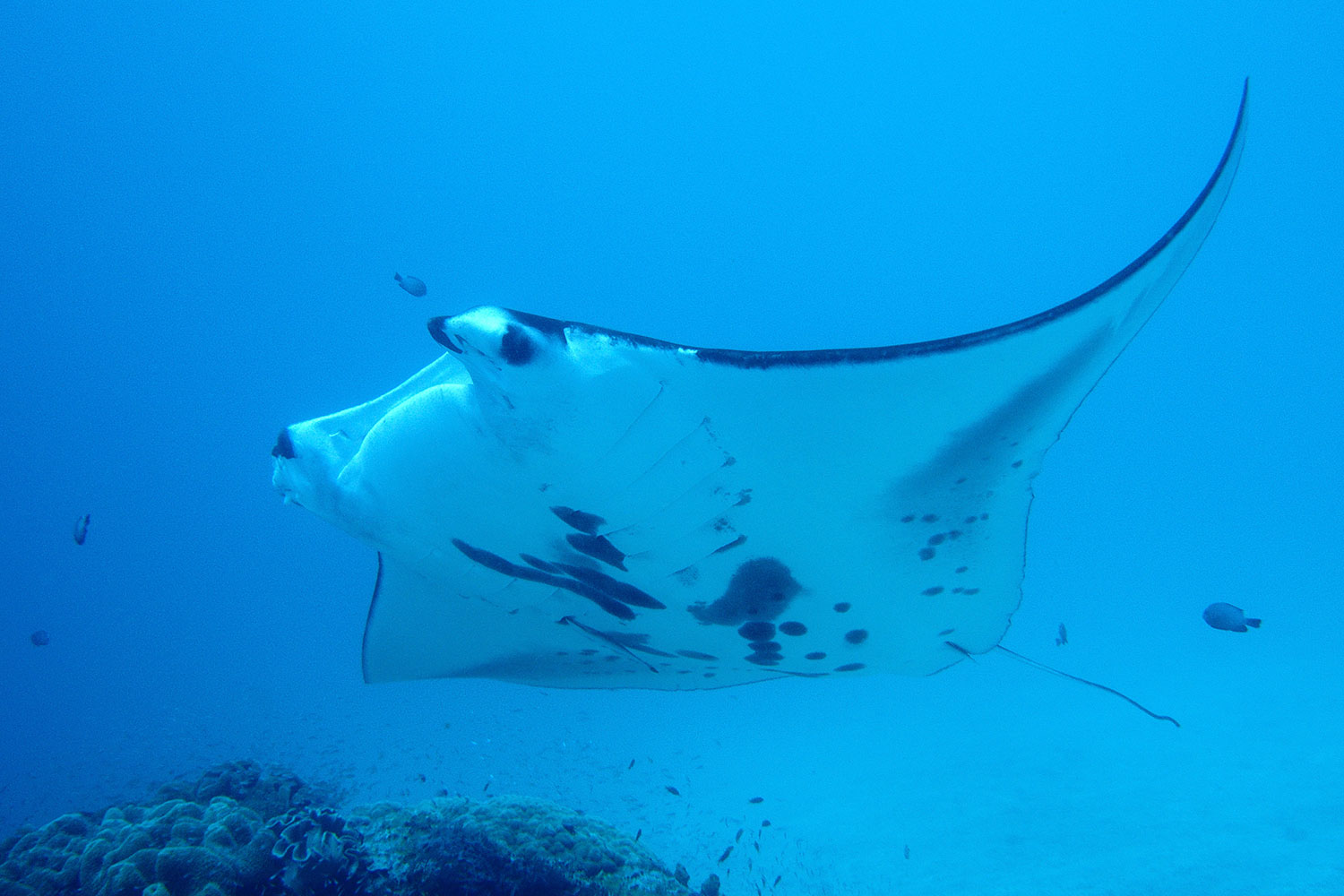 Bru-Bru-viajes-Indonesia-4