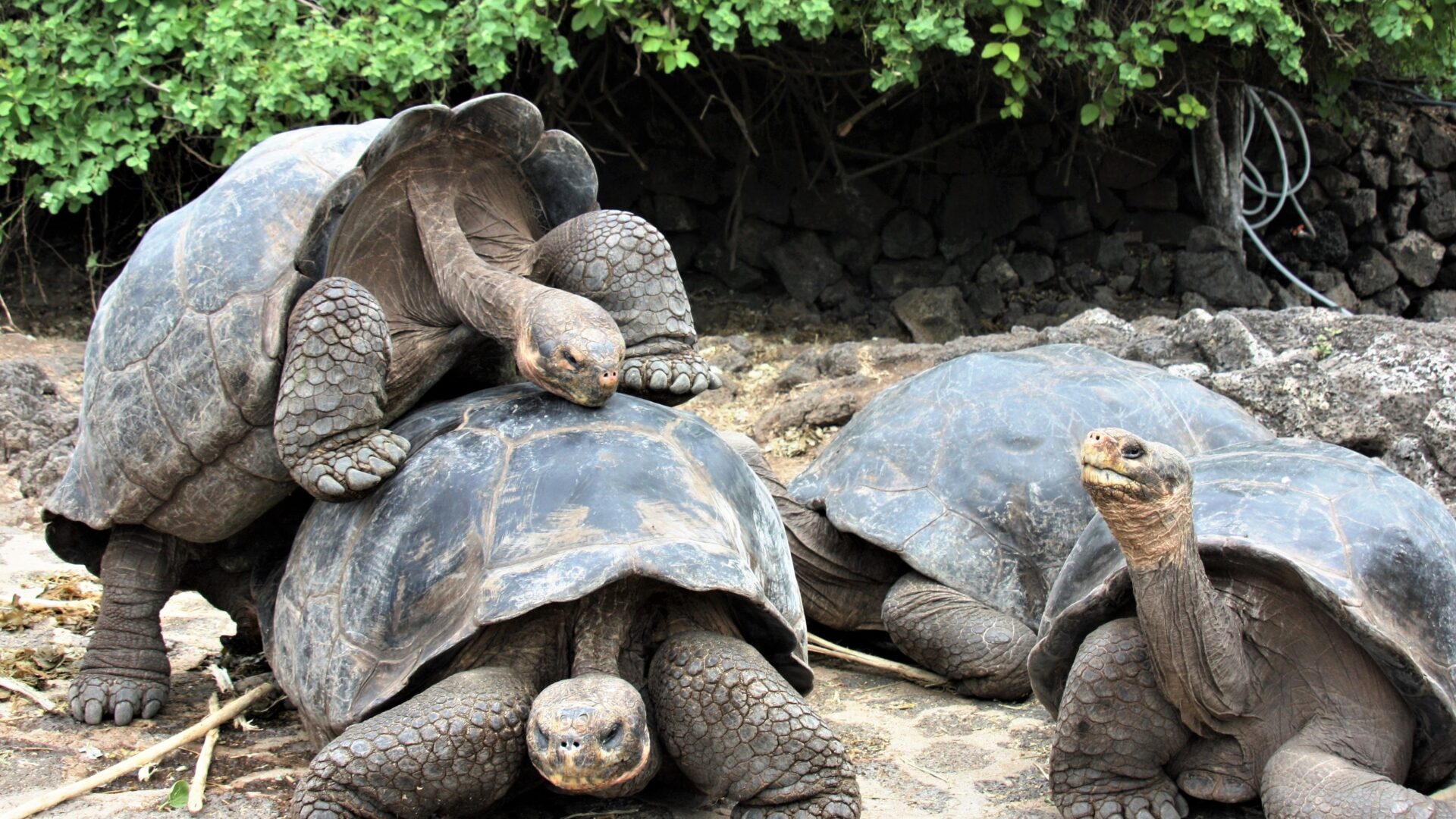 BRU BRU Exclusive travel designer Expedicion a Galapagos