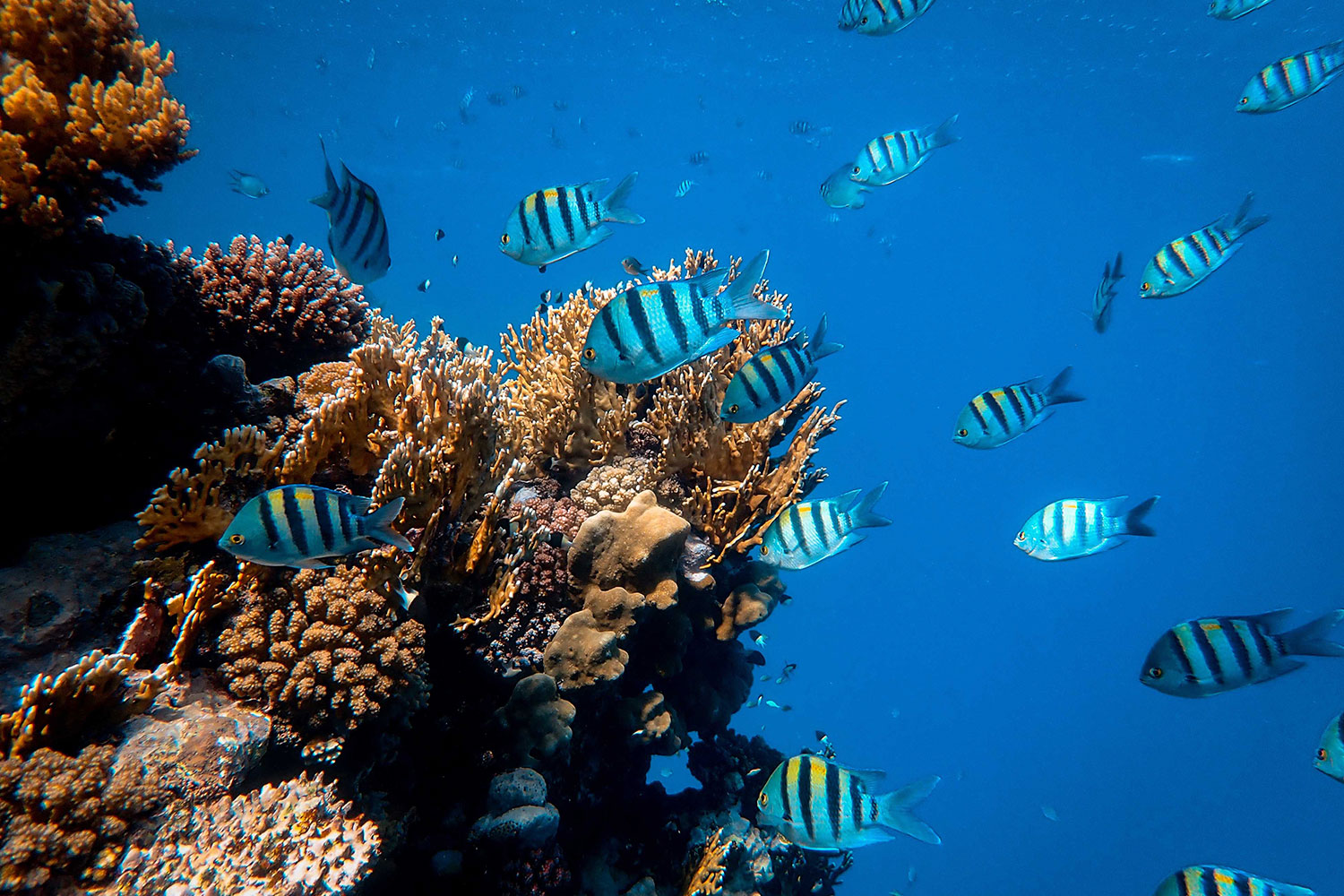 BRU&BRU-Viajes-exclusivos-Indonesia-Aqua-Blue