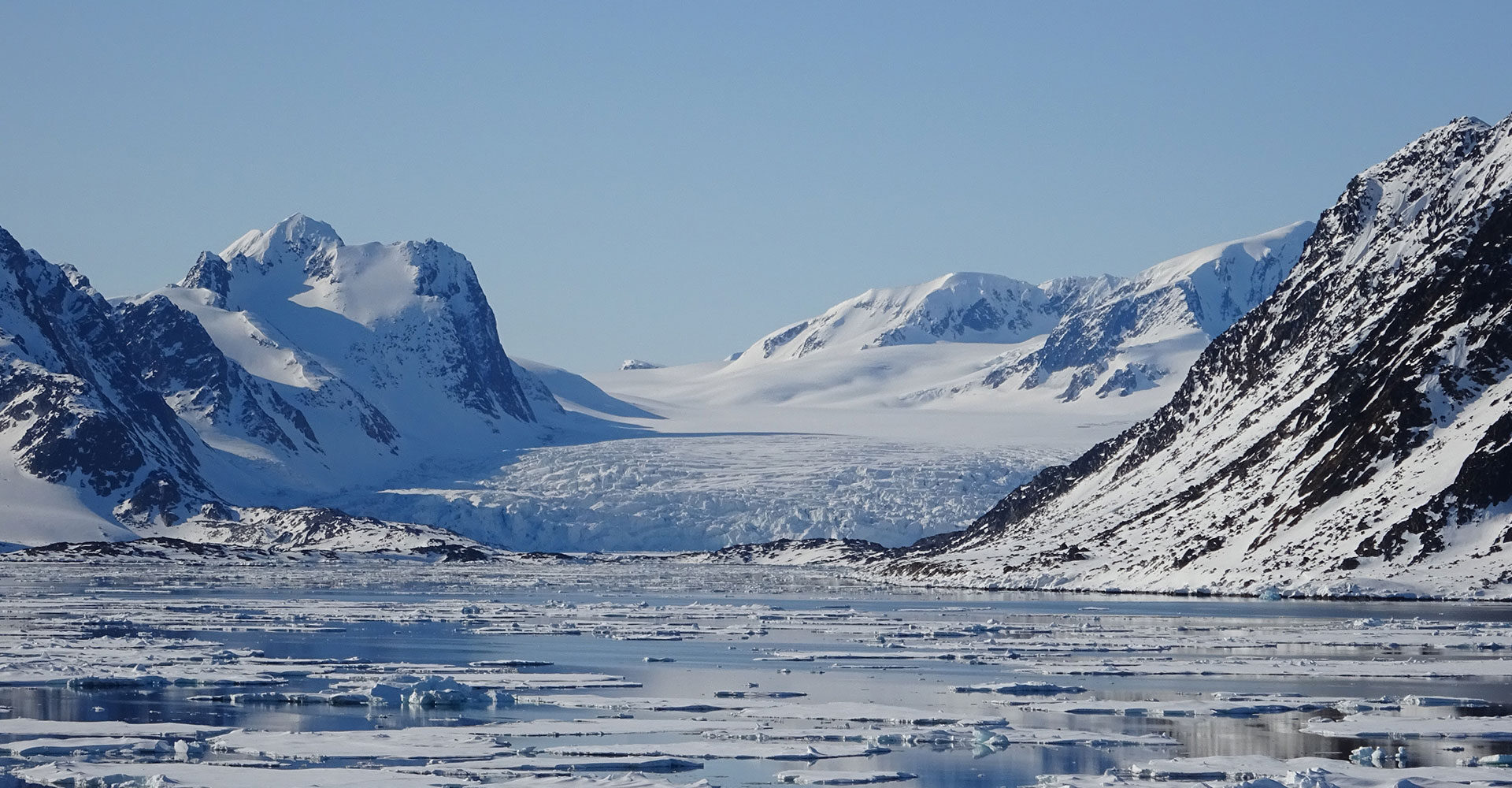 Spitsbergen, Wildlife capital of the arctic