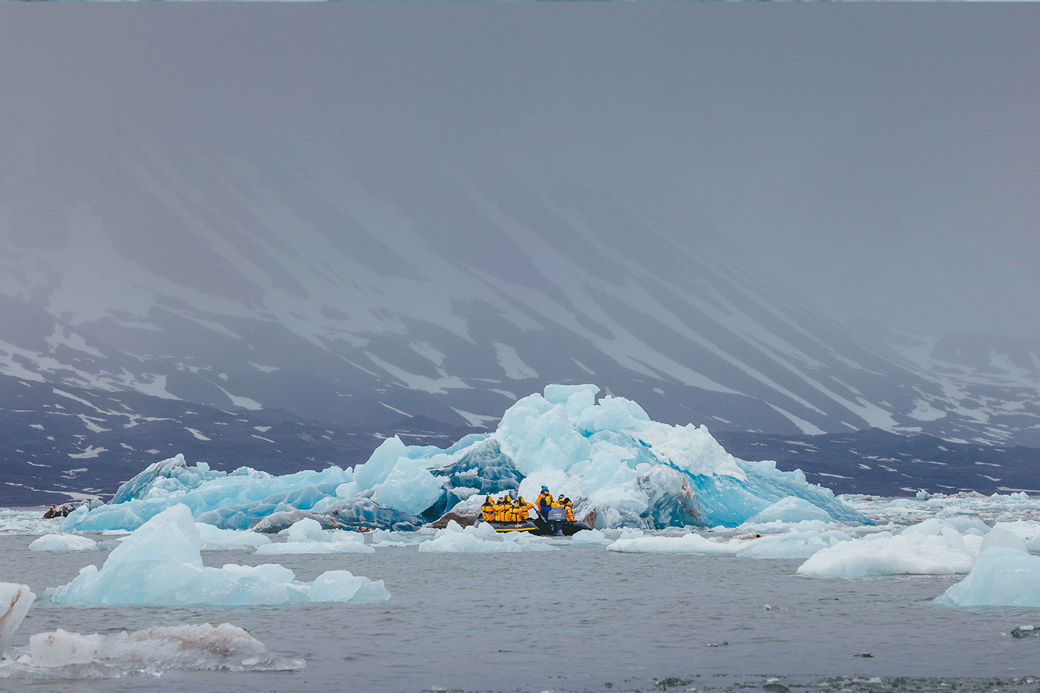 Spitsbergen, Wildlife capital of the arctic
