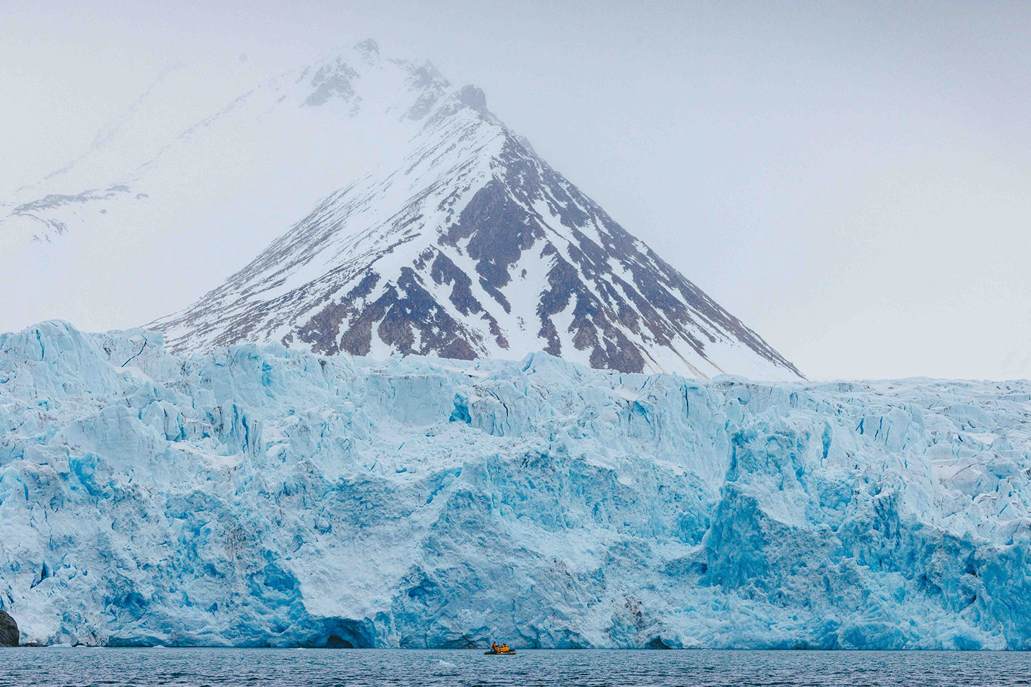 Spitsbergen, Wildlife capital of the arctic