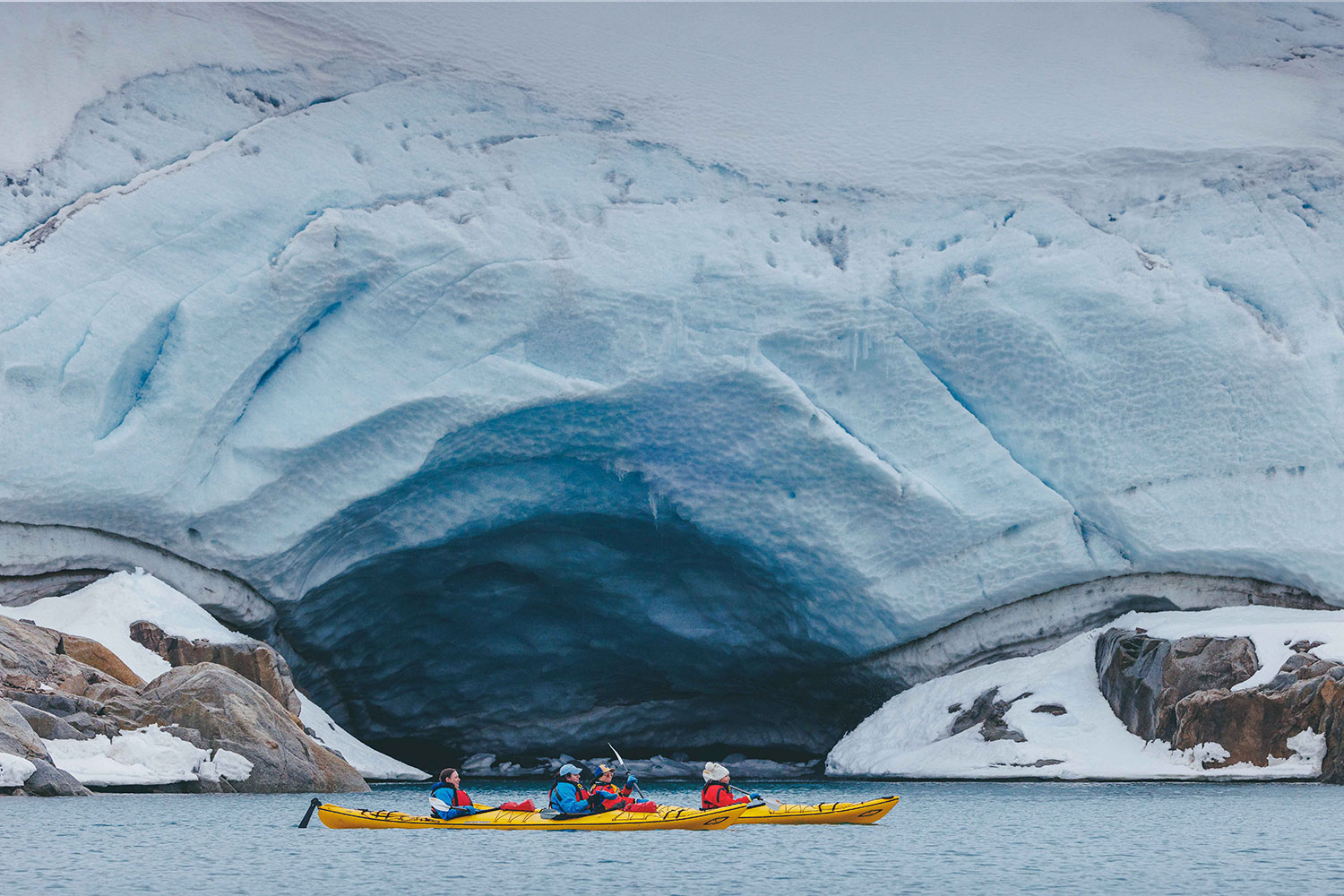 Spitsbergen, Wildlife capital of the arctic