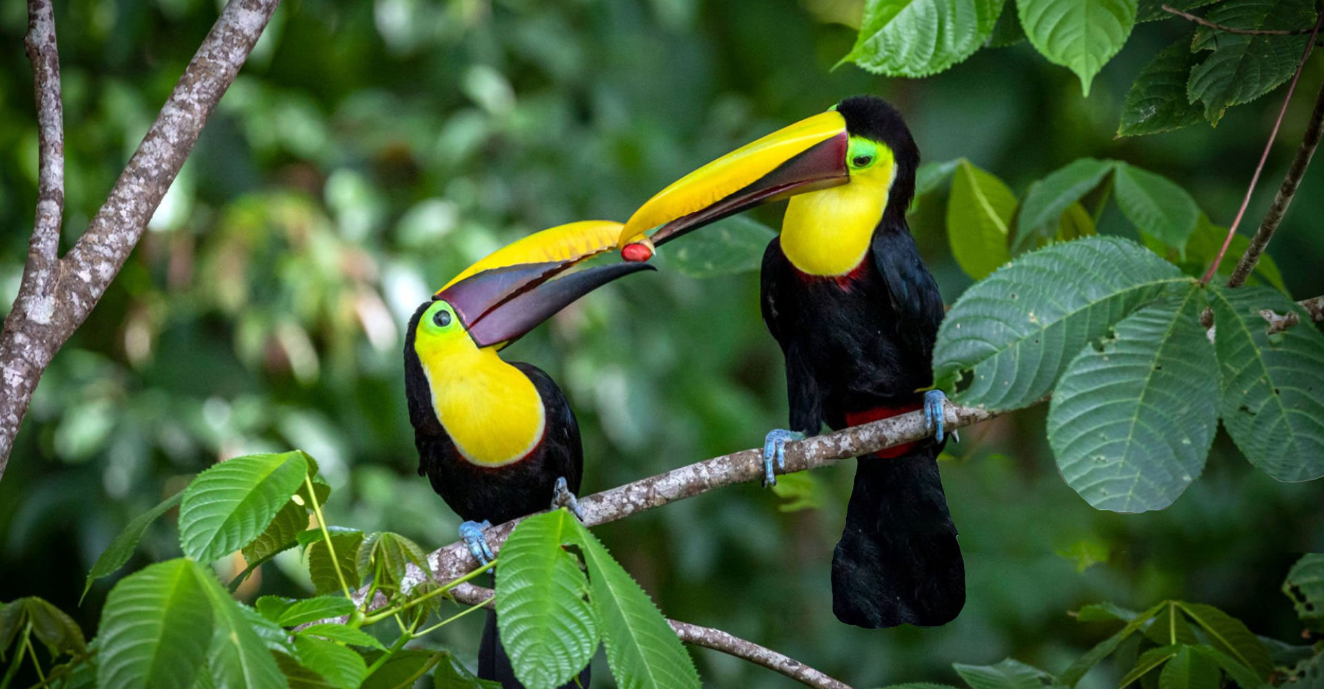 Navegando en Costa Rica