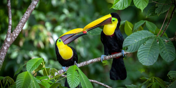 BRUBRU-viajes-privados-exclusivos-Costa-Rica