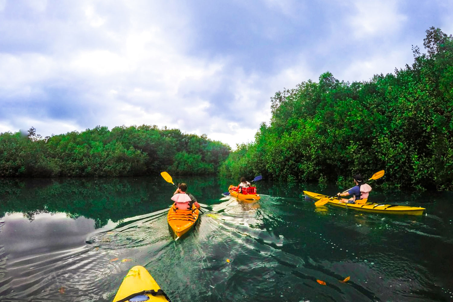 10 BRUBRU-Viajes-privados-y-exclusivos-Costa-Rica