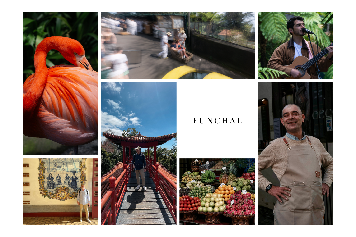 Madeira: The island of eternal spring